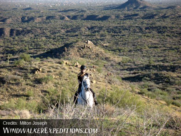 Lady on white Arabian