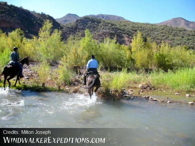 Two horses crossing Verde