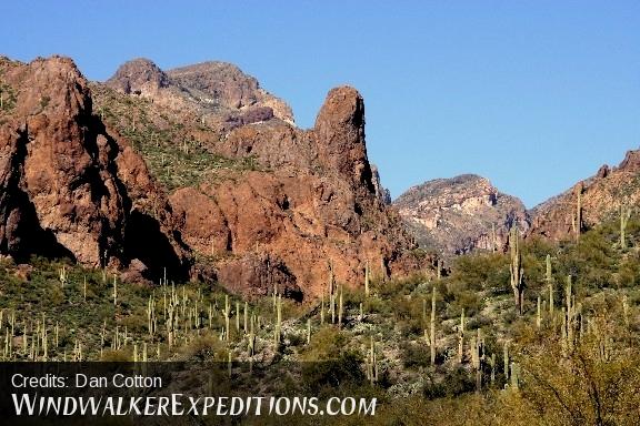 A scenic view of saguaro cacti and prickley pear cacti with mountains and sky