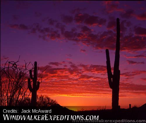 Arizona sunset