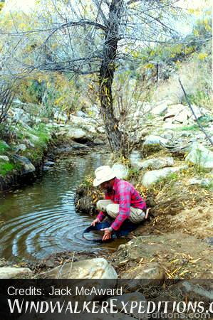 Prospector panning for gold