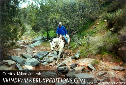 Seven Springs trail ride