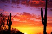 Carefree, AZ Sunset with saguaros and red and yellow clouds